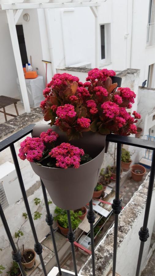 Che Bella Vita! Monopoli Exterior foto